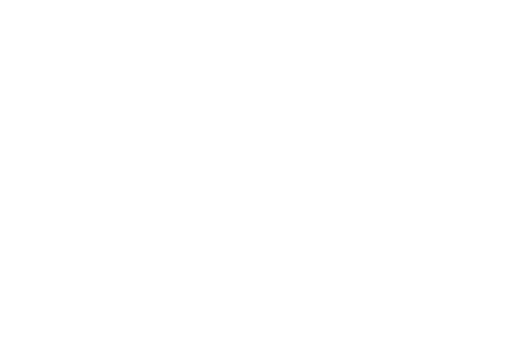 Elleve — Founding Member